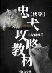 危险哨兵驯养手册