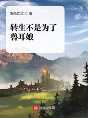 火影：木叶博弈者