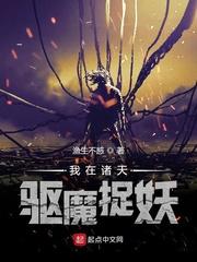 偷香高手小说未删减完整版