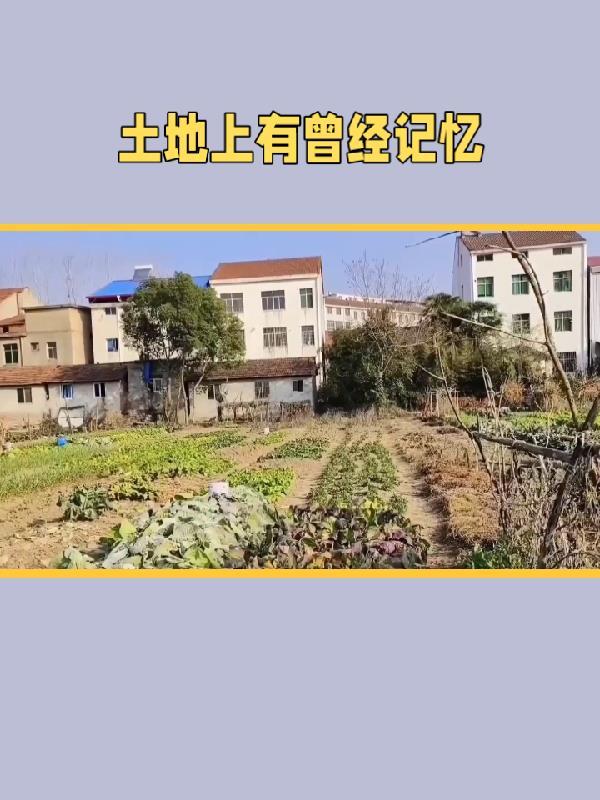 假千金逆袭学霸后,成了全网团宠