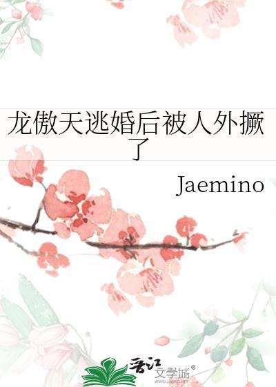 三嫁惹君心