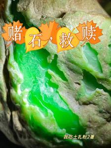 一条名叫王美菊的狗竟然会修仙