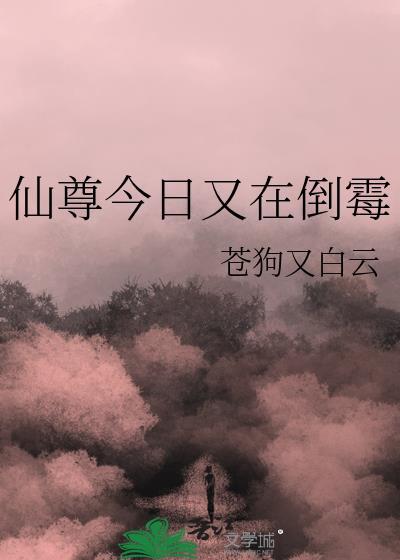 莫欺将军妻