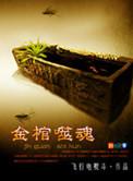 顶级Alpha老板为何这样?